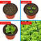 Plastic Plant Nursery Pots 4 Inch 10 Piece Set 2