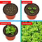 Plastic Plant Nursery Pots 4 Inch 10 Piece Set 2