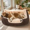 Orthopedic Dog Bed For Extra Large Dogs With Washable Cover And Non Slip Base 6