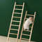 Wooden Climbing Ladder Toy For Hamsters Birds And Small Pets 2
