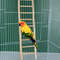 Wooden Climbing Ladder Toy For Hamsters Birds And Small Pets 3