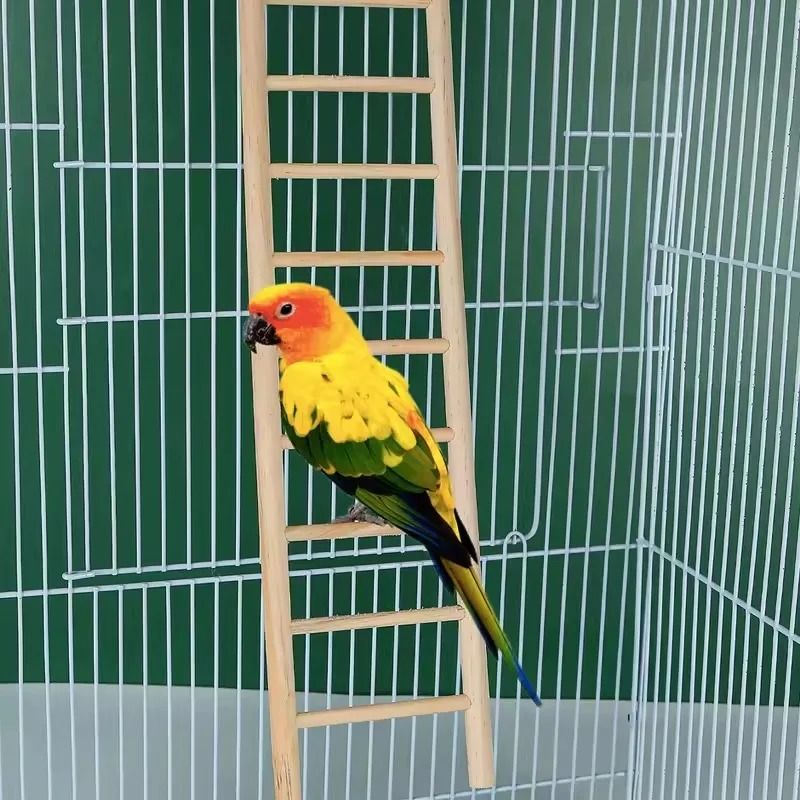 Wooden Climbing Ladder Toy For Hamsters Birds And Small Pets 3