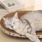 Round Corrugated Cat Scratcher Bed For Claw Care And Playtime 3