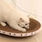 Round Corrugated Cat Scratcher Bed For Claw Care And Playtime 5