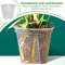 Transparent Green Root Control Plant Pot 0