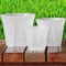 Transparent Green Root Control Plant Pot 4