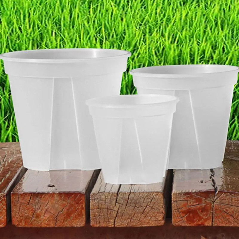 Transparent Green Root Control Plant Pot 4