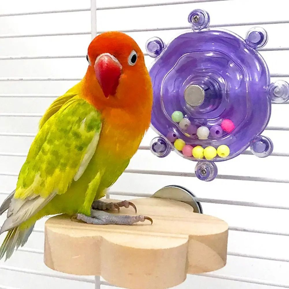 Parrot Swing Toy For Medium And Large Birds 0