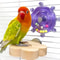 Parrot Swing Toy For Medium And Large Birds 0