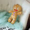 Gingerbread Man Plush Toy 5