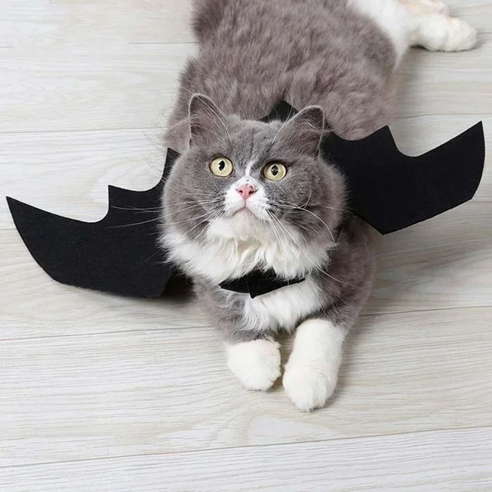 Cute Pet Bat Wings Costume For Cats And Dogs 4