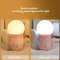 Portable Plug In LED Night Light Two Color Sleep Light For Bedroom And Corridor 3
