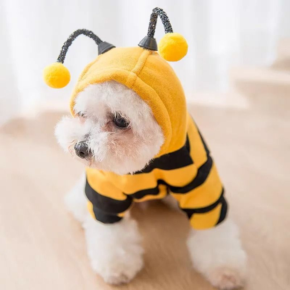 Bee Costume Hoodie For Pets Cozy Winter Outfit For Small Dogs And Cats 2