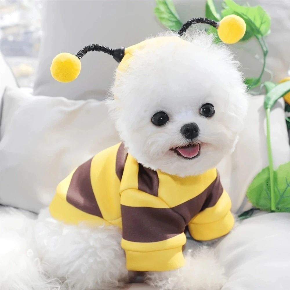 Bee Costume Hoodie For Pets Cozy Winter Outfit For Small Dogs And Cats 3
