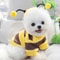 Bee Costume Hoodie For Pets Cozy Winter Outfit For Small Dogs And Cats 3