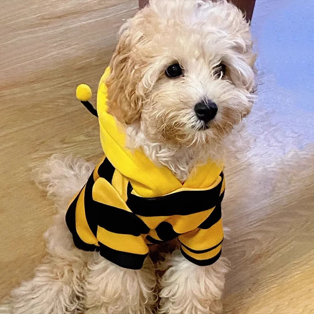 Bee Costume Hoodie For Pets Cozy Winter Outfit For Small Dogs And Cats 4