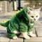 Funny Dinosaur Cosplay Hoodie For Pets Warm Winter Costume For Small And Medium Dogs And Cats 0