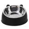 Inclined Stainless Steel Pet Food And Water Bowl For Cats And Small Dogs 6