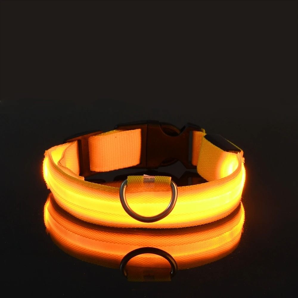 LED Night Safety Glow Dog Collar And Leash Set For Night Walks And Outdoor Use 11
