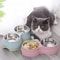 Double Stainless Steel Pet Feeding Bowl For Dogs And Cats 1
