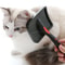 Pet Hair Removal Needle Brush For Cats And Dogs 2