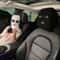 Funny Ski Mask Car Seat Headrest Cover Full Face Design 4