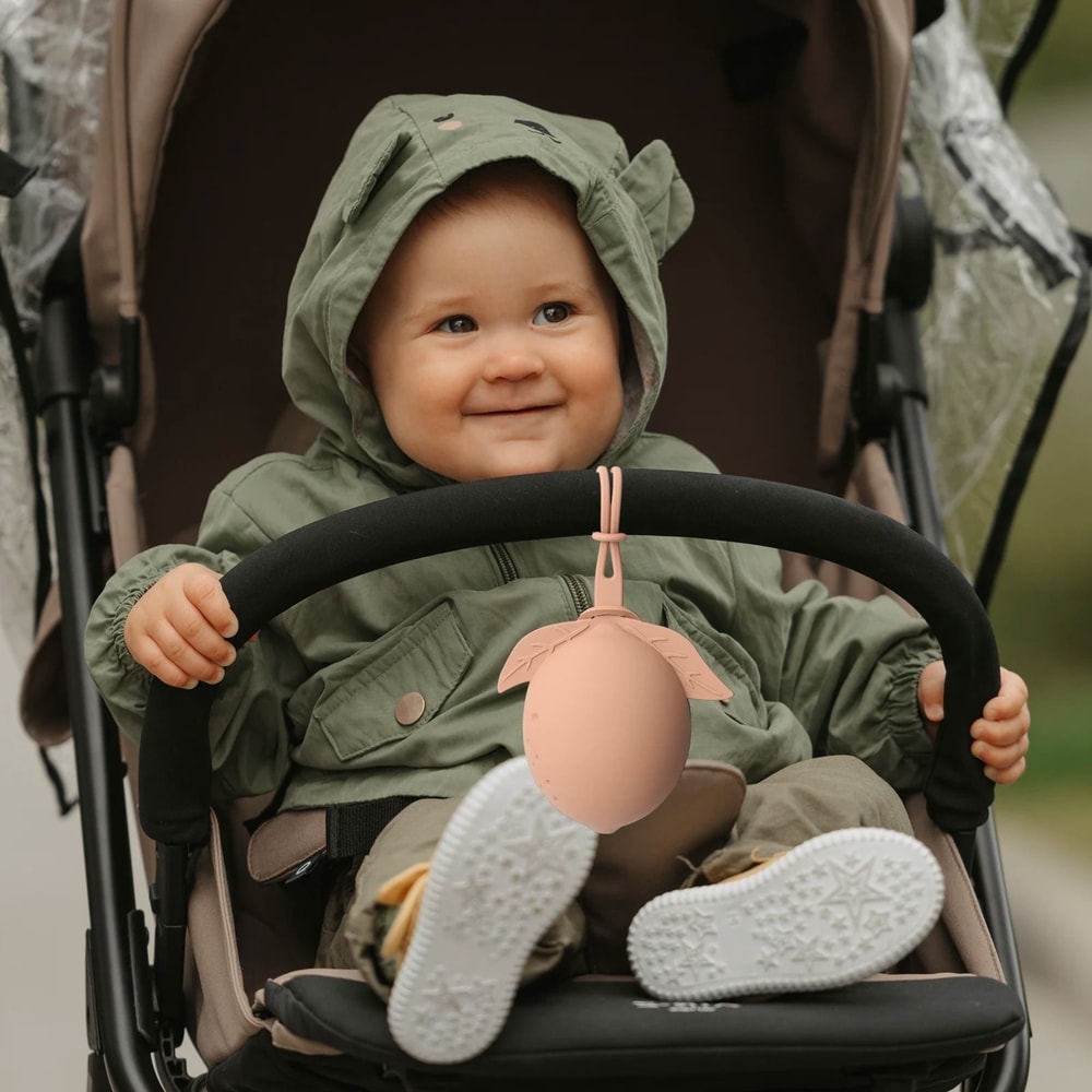 Silicone Pacifier Storage Case Lemon Design 4