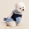 Cozy Rabbit Ear Pet Sweater For Warmth In Autumn And Winter 2