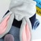 Cozy Rabbit Ear Hooded Pet Sweater For Autumn And Winter Warmth 4