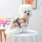 Cozy Bow Decorative Pet Jacket For Autumn And Winter Warmth 1