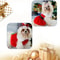 Festive Christmas Red Dress For Dogs And Cats With Warm Bow Frock Design 4