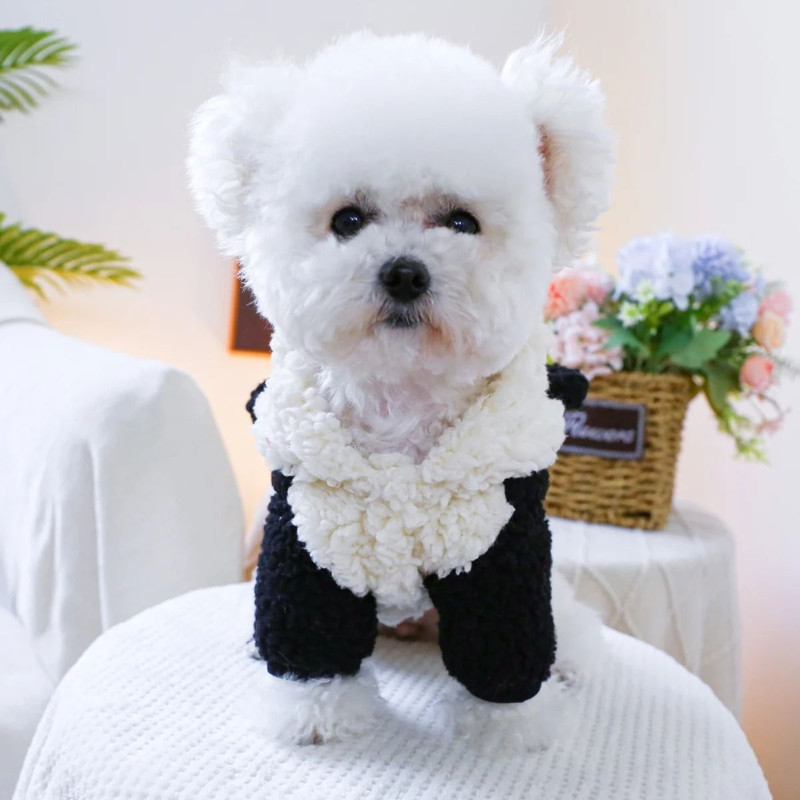 Cozy Panda Hood Pet Jacket For Autumn And Winter Warmth 3