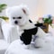 Cozy Panda Hood Pet Jacket For Autumn And Winter Warmth 5