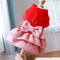 Cozy Red Princess Pet Dress With Traction Buckle For Autumn And Winter 1