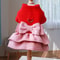 Cozy Red Princess Pet Dress With Traction Buckle For Autumn And Winter 6