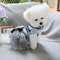 Cozy Grey Blue Princess Pet Dress For Autumn And Winter 4