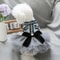 Cozy Grey Blue Princess Pet Dress For Autumn And Winter 6