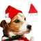 Festive Santa Hat For Pets Plush Red Holiday Cap For Dogs Cats 0