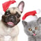 Festive Santa Hat For Pets Plush Red Holiday Cap For Dogs Cats 2