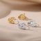 Elegant Butterfly Stainless Steel Earrings For Women And Girls 3