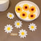Flower Hair Clip Set For Girls Daisy Sunflower Mixed Color Hair Accessories 5