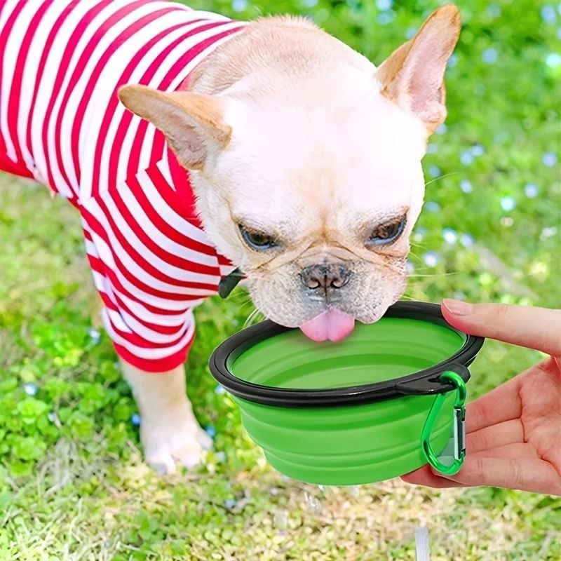 Collapsible TPR Pet Food And Water Bowl Portable Travel Dog And Cat Use 3