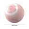 Electric Rolling Cat Toy Ball With Teaser Bird 9