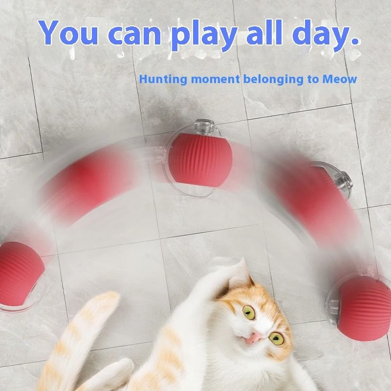 Electric Rolling Cat Toy Ball With Teaser Bird 1