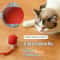 Electric Rolling Cat Toy Ball With Teaser Bird 4