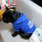 Pet Dog Autumn Winter Hoodie 3