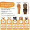 4 Pack Non Slip Dog Socks Double Sided Anti Slip Paw Protection 5
