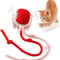 Automatic Rolling Ball Interactive Pet Toy For Cats And Small Dogs 0