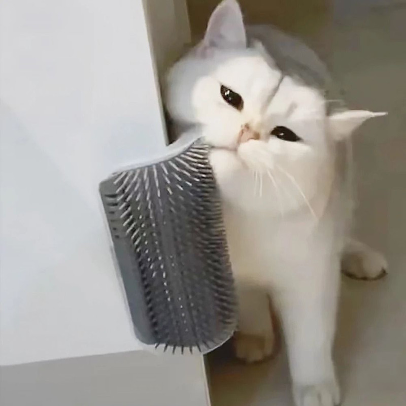 Cat Grooming Massager Brush With Soft Bristles For Gentle Hair Removal 1
