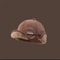 Unisex Winter Ear Protection Fleece Warm Hat 5